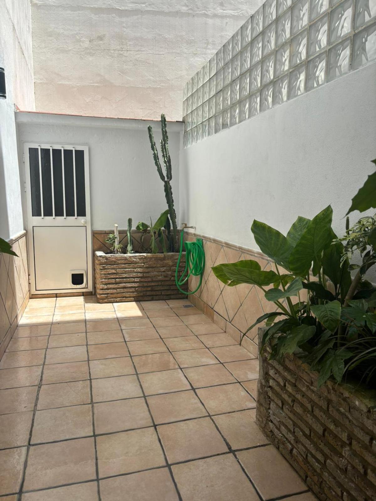 Panther Home Pureza Σεβίλλη Εξωτερικό φωτογραφία